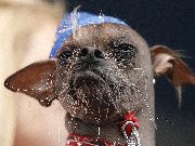 «Золото Уссурийска» объявляет КОНКУРС! *(ИТОГИ) «Золото Уссурийска» объявляет КОНКУРС! *(ИТОГИ)